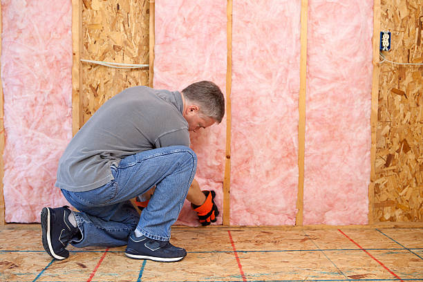 Best Basement Insulation  in Collinwood, TN