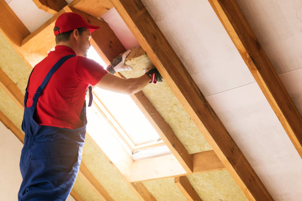 Professional Insulation Installation & Removal in Collinwood, TN